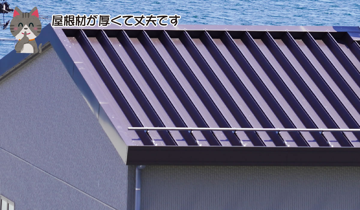 厚くて丈夫な折板葺き使用